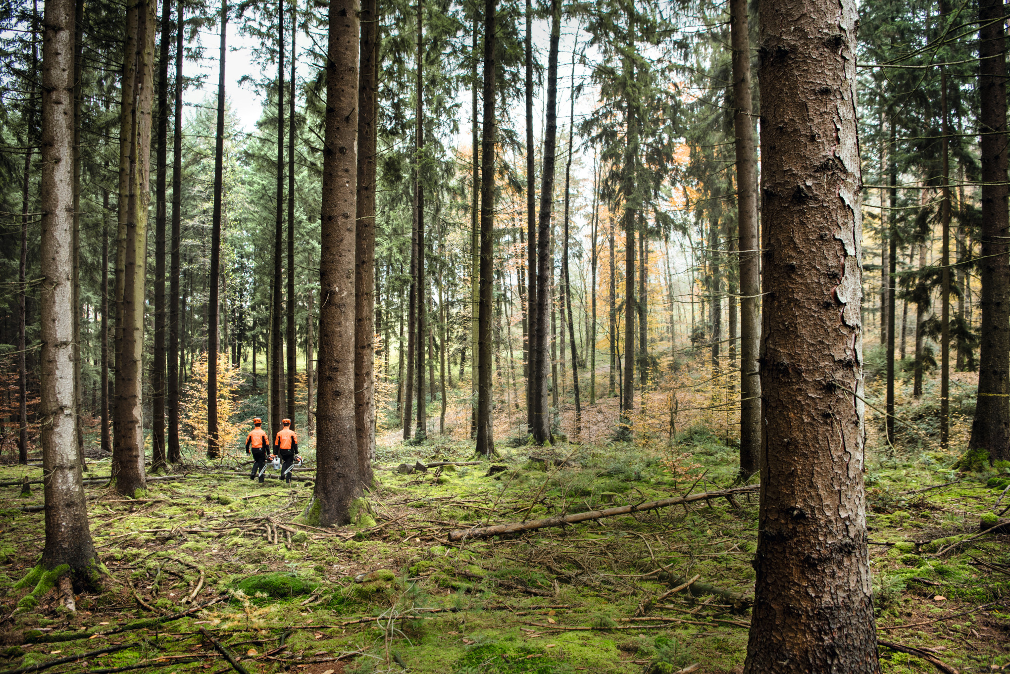 STIHL als onderneming