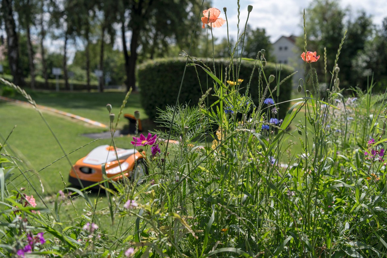 Biodiversiteit